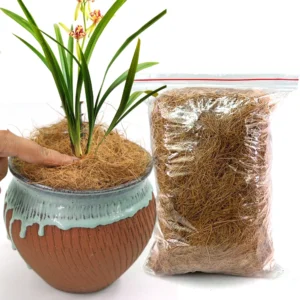Natural Coconut Husk Fiber for Plants, Reptile Bedding & Bird Nests 1