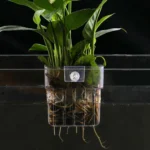 Hanging Aquarium Plant Basket Pot 1