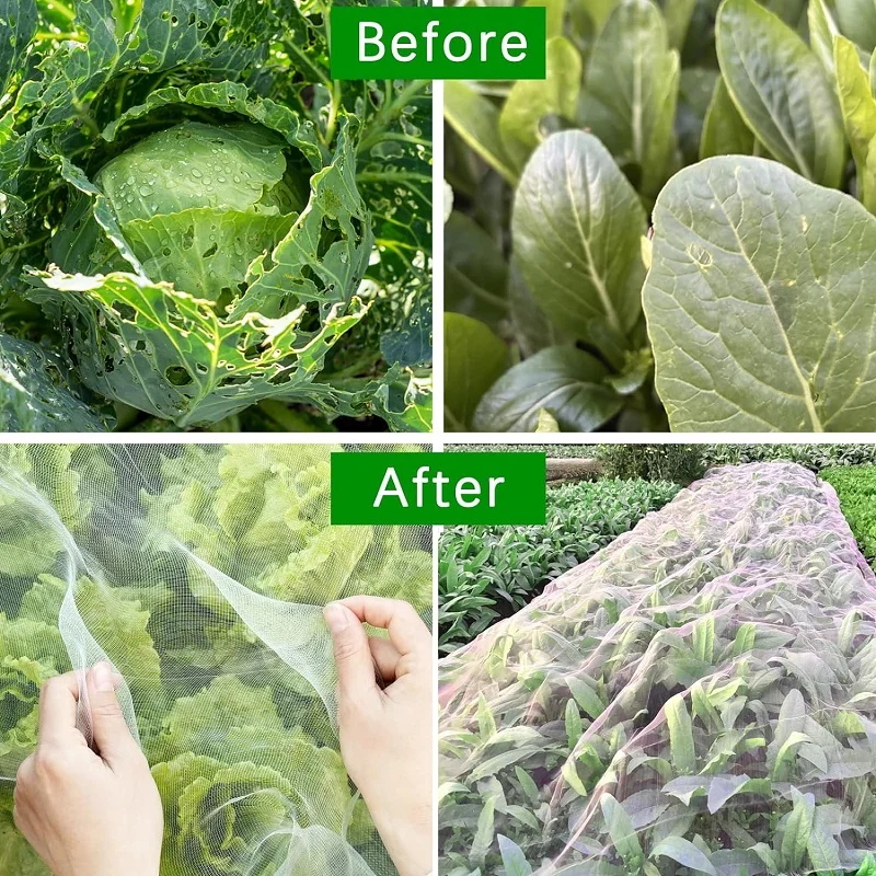 garden plant protection mesh net Garden Plant Protection Mesh Net 3