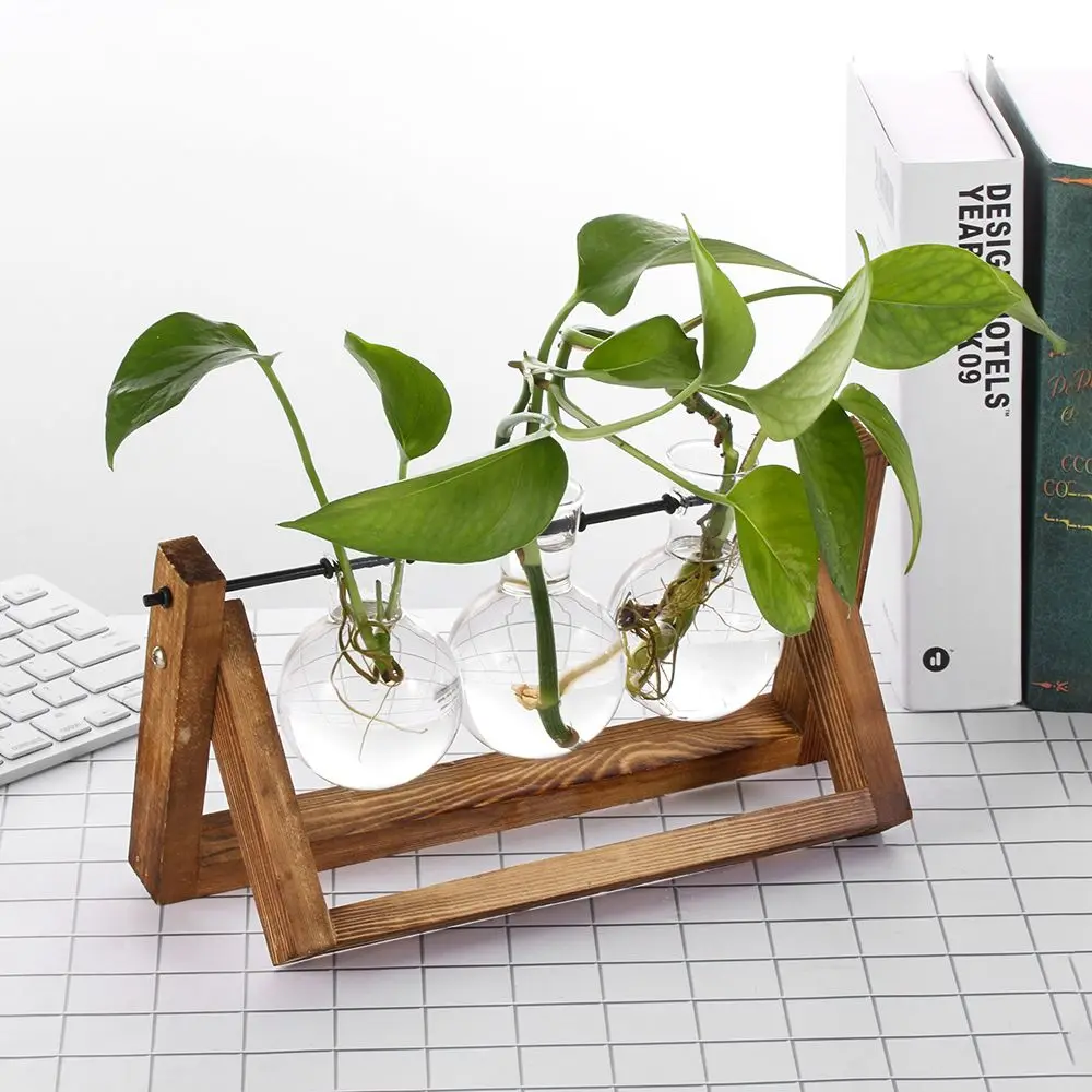 wooden frame glass hydroponic vase terrarium tabletop planter Wooden Frame Glass Hydroponic Vase Terrarium Tabletop Planter 3