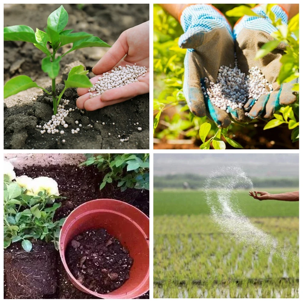 flower & garden plant growth booster Flower & Garden Plant Growth Booster 4