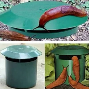 Garden Snail Control Trap 1