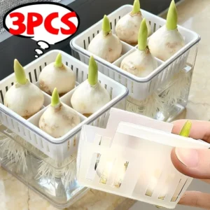 4-Grid Acrylic Hydroponic Flower Pot for Tulips & Indoor Plants 1