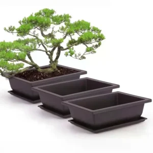 Rectangular Bonsai Flower Pot with Drain Tray 1
