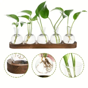 Modern Glass Plant Terrarium with Wooden Tray – Hydroponic Vase for Indoor Propagation Station, Desktop Home Office Decor 1