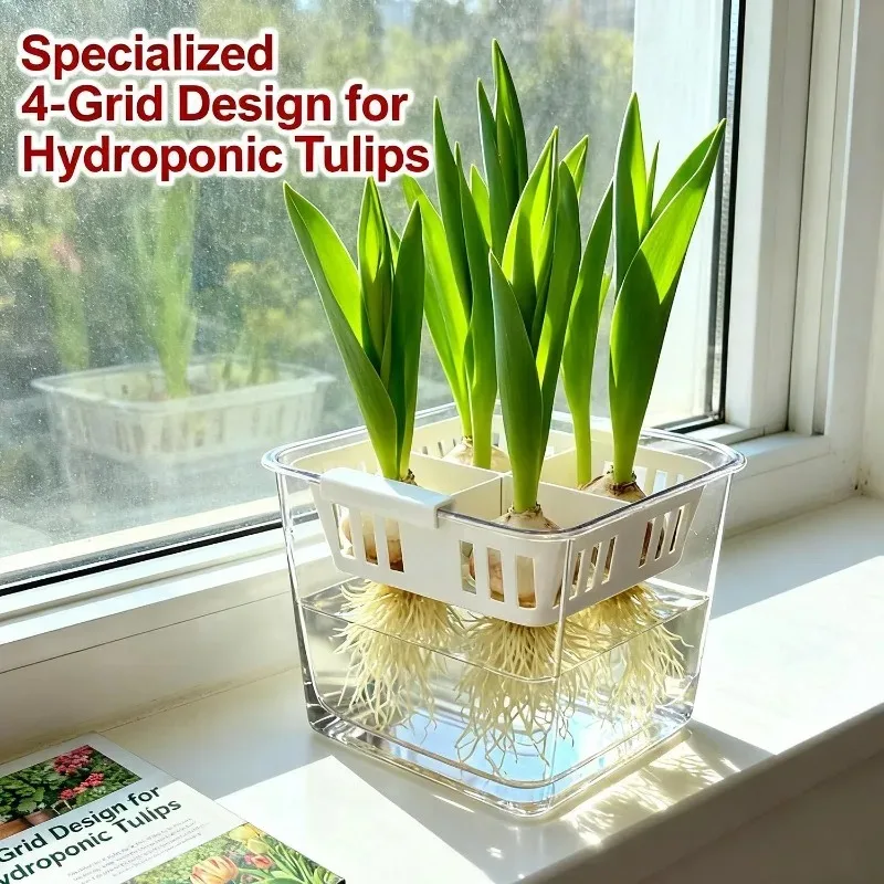4 grid acrylic hydroponic flower pot for tulips & indoor plants 4-Grid Acrylic Hydroponic Flower Pot for Tulips & Indoor Plants 2