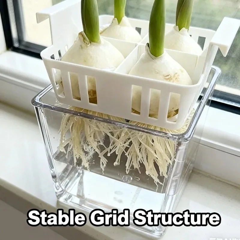 4 grid acrylic hydroponic flower pot for tulips & indoor plants 4-Grid Acrylic Hydroponic Flower Pot for Tulips & Indoor Plants 3