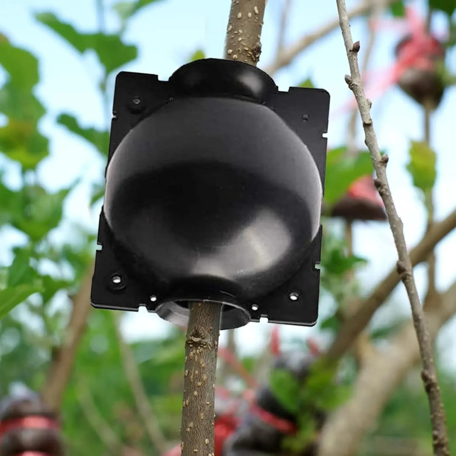 reusable plant propagation grow box Reusable Plant Propagation Grow Box 2
