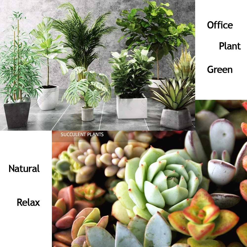 flower & garden plant growth booster Flower & Garden Plant Growth Booster 6