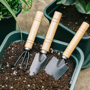3PCS Mini Garden Tool Set for Indoor Plants, Succulents & Flowers 1
