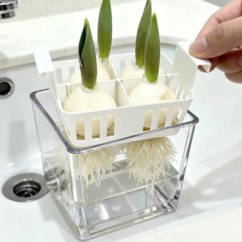 4 grid acrylic hydroponic flower pot for tulips & indoor plants 4-Grid Acrylic Hydroponic Flower Pot for Tulips & Indoor Plants 4