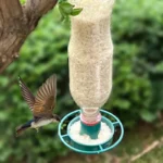 Hanging Outdoor Bird Feeder 1