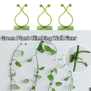 Indoor Plant Climbing Support Clips 1
