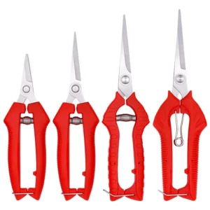 Small Garden Pruning Shears | Precision Fruit Picking Scissors & Snips | 1