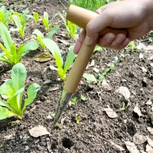 Wooden Handle Hand Sow Dibbler & Seed Planting Tool 1