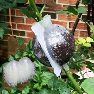 Grafting rooting device 1