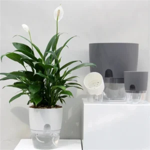 Self watering planter pot 1