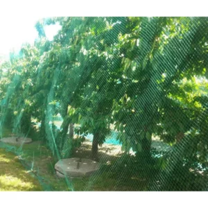 Garden Netting Bird Protection 1