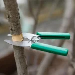 Grafting tool kit 1