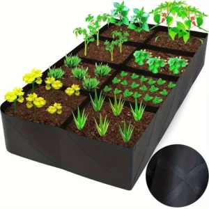 Raised garden bed 1